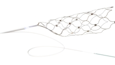 Synchron's Stentrode implant