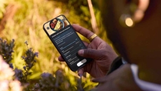 Person looking at a cell phone