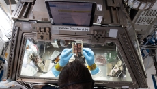 Astronaut looking at scientific paraphernalia