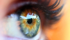 Close up of an eye