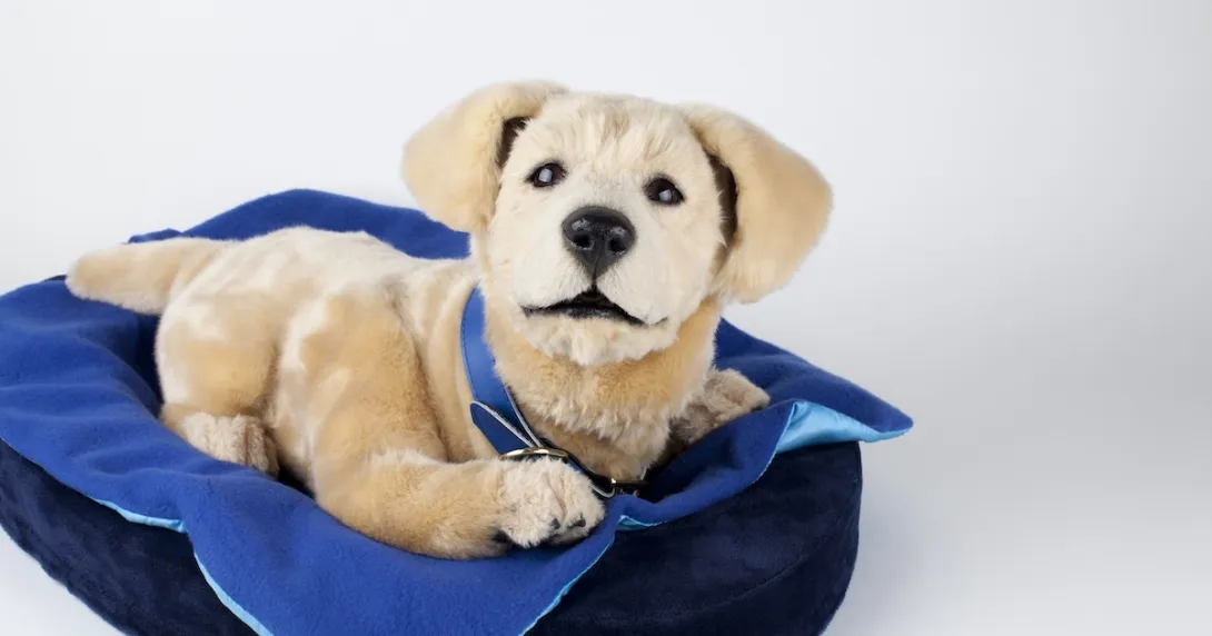 Image of robotic dog