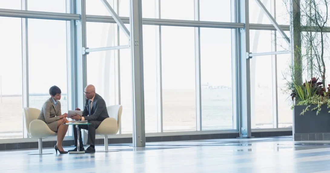 Two executives in a conference